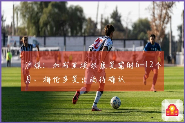 沪媒：加布里埃尔康复需时6-12个月，梅伦多复出尚待确认