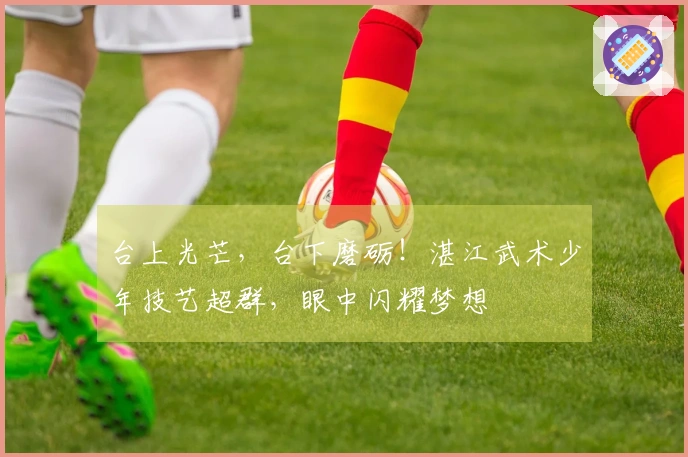 台上光芒，台下磨砺！湛江武术少年技艺超群，眼中闪耀梦想